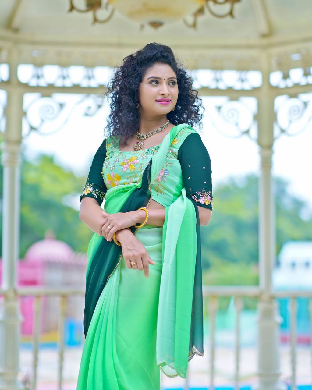 georgette saree​