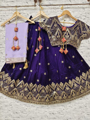 Shop Premium Purple Lehenga Choli – Intricate Zari Work & Designer Styles