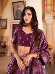 Royal Wine Lehenga – Perfect Blend of Style & Grace