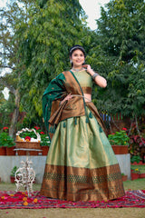 Elegant Jacquard Silk Light Green Lehenga with Zari Weaving – Stitched & Stylish